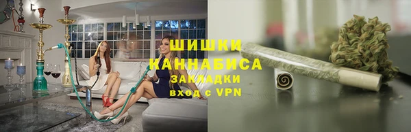 сатива Мегион
