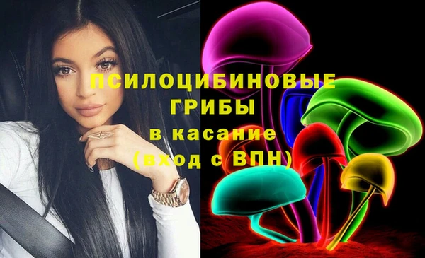 СК Магас