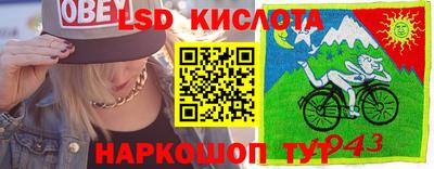 шишки Апшеронск