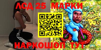 индика Заволжье