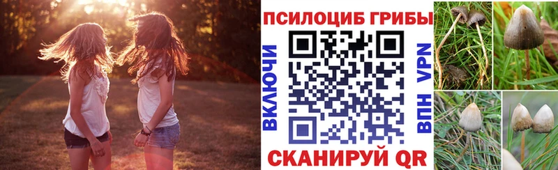 Псилоцибиновые грибы мухоморы  где можно купить   Уссурийск 