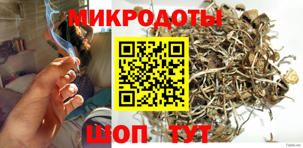 Галлюциногенные грибы Psilocybe  Псилоцибиновые грибы MAGIC MUSHROOMS  Уссурийск 