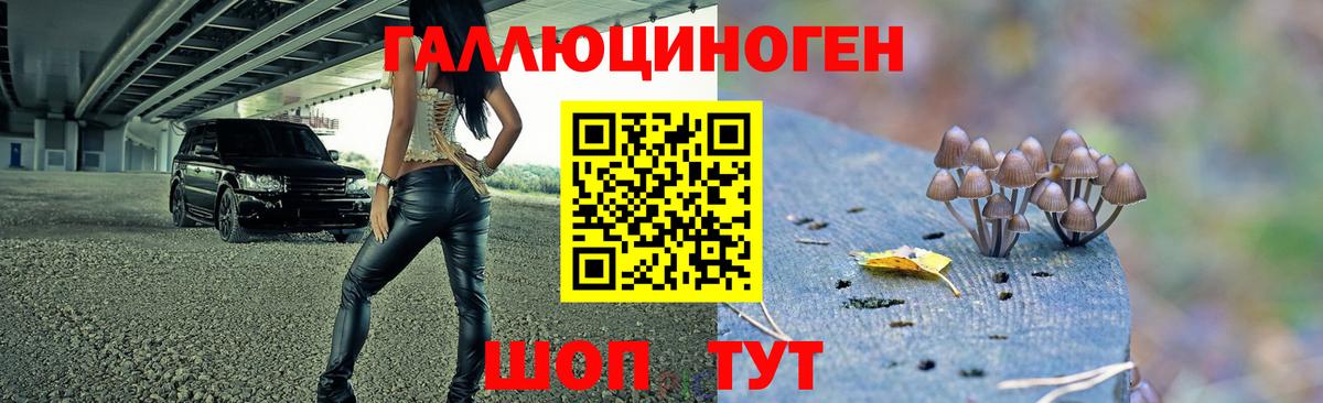 Галлюциногенные грибы Psilocybine cubensis  Вход с VPN  Уссурийск 